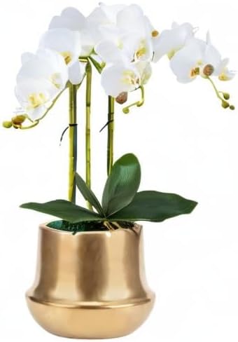 Brass Gold Plant Pot Indoor Planter Small Flower Pot 6 inch Ceramic Plant Flower Pot Container Decorative Gold Pots for All House Plants ,Succulents,Flowers and Cactus, Small 5.9‘’