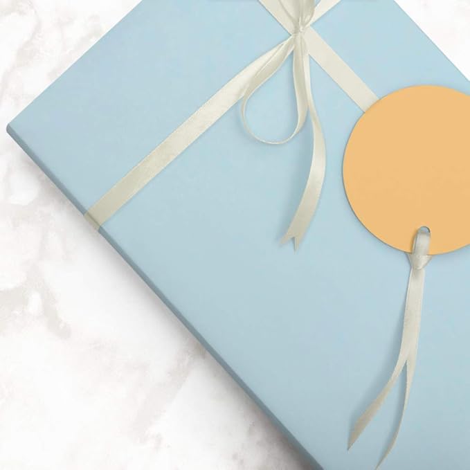 JAM Paper Gift Wrap - Matte Wrapping Paper - 50 Sq Ft Total (30 in x 10 Ft Each) - Matte Light Baby Blue/Pool Blue - 2 Rolls/Pack