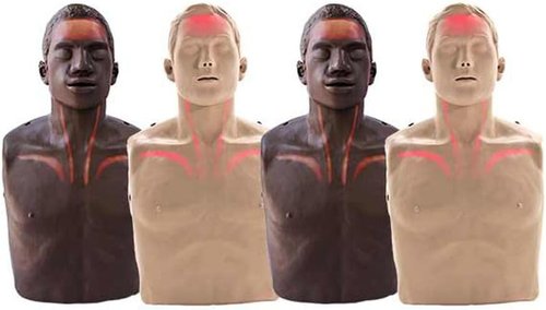 Brayden/BigRed™ Adult CPR Manikin - Mixed Skin 4-Pack with LED Feedback | Brown & Tan Skin Options