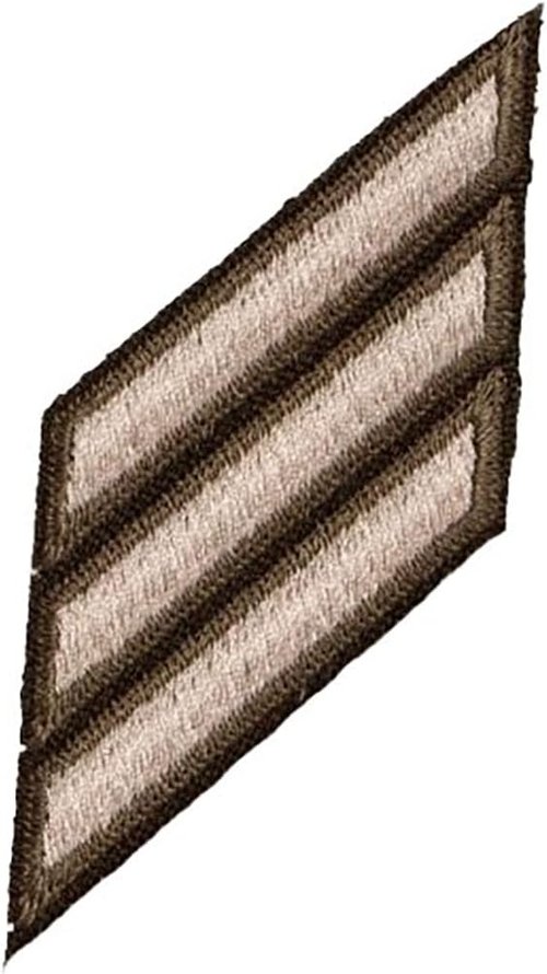 AGSU Female Service Stripes - Military Issued | Veteran Owned Business (3 Count)