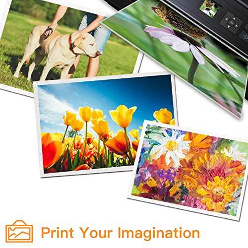 Run Star High Yield T098 T099 98 99 Remanufactured Ink Cartridge Replacement for Epson T98 T99 use with Epson Artisan 700 710 725 730 800 810 835 837 Printer (7 Pack, 2BK/C/M/Y/LC/LM)