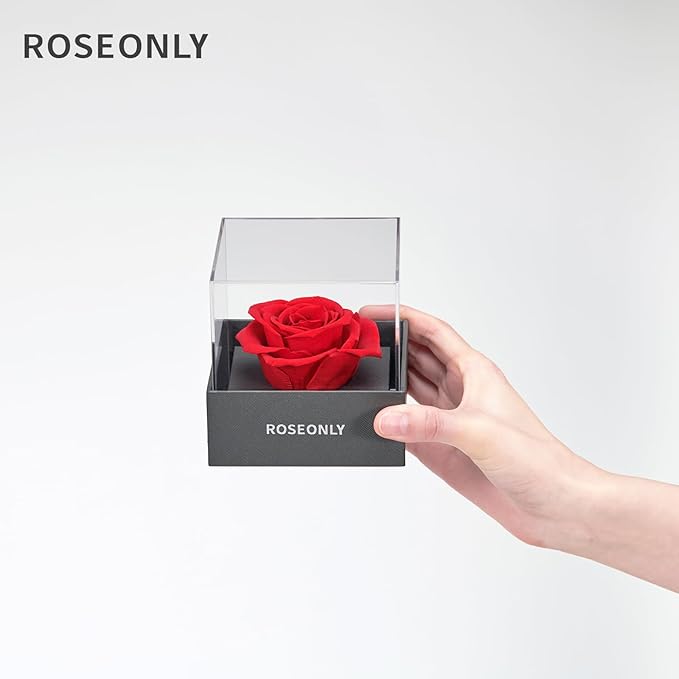 Preserved Rose Romantic Gifts for Wife Female Womens Real Red Roses Flowers for Valentine's Day Christmas Birthday Mother's Day Anniversary (Mini)