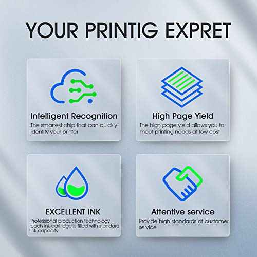 PG-245XL Black Ink Cartridge Replacement for Canon 245XL PG-245 Black Combo Pack for PIXMA MG2420 MG2520 MG2522 MG2525 MG2920 MG2922 MG2924 MG3020 MG3029 MG3022 TR4520 TR4522 TS3120 (2 x Black)
