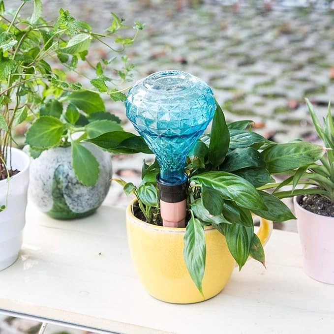 Glass Mini Watering Can & Self - Watering Globe Set - Flower Water Spray Bottle with Terracotta Spike, Perfect Plant Watering Gift for Indoor Outdoor Gardens