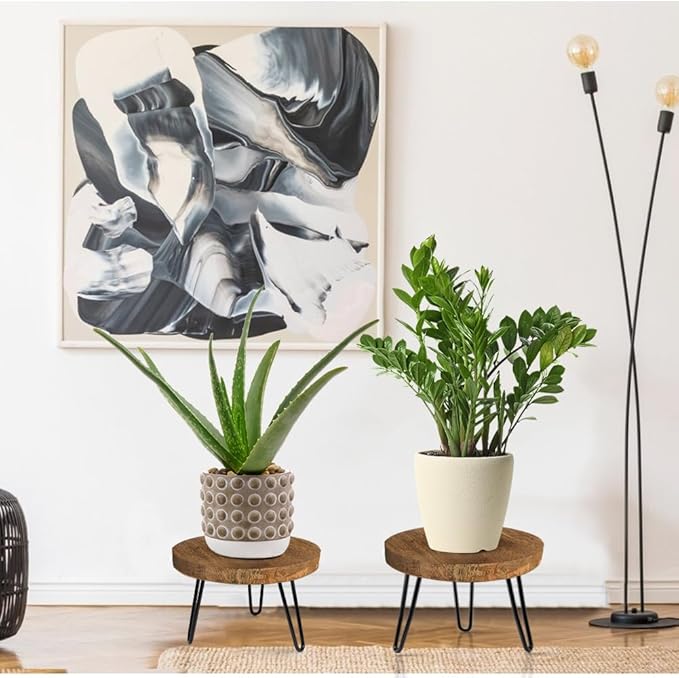 OBTAIN Plant Stand Indoor Outdoor Wood Mid Century Plant Stand for Indoor Plants, Modern Plant Table Round Plant Stool, Boho Rustic Wooden Stool for Plant Pot Hol (L)