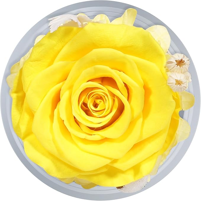 Sunia Preserved Flower Rose Gift for Women - Mother's Day Birthday Gifts for Mom Wife Grandma, Glass Angel Figurines Forever Real Roses Gifts for Her Valentine Day Thanksgiving (Yellow)