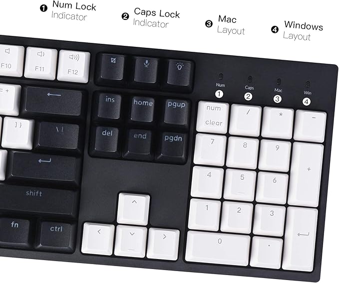 Keychron C2 Full Size 104 Keys Wired Mechanical Gaming Keyboard for Mac Layout with Gateron G Pro Red Switch/White LED Backlight/Double Shot ABS Keycaps/USB C Computer Keyboard for Windows Laptop
