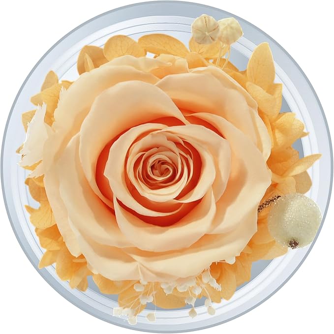 Sunia Preserved Flower Rose Gift for Women - Mother's Day Birthday Gifts for Mom Wife Grandma, Glass Angel Figurines Forever Real Roses Gifts for Her Valentine Day Thanksgiving (Champagne)