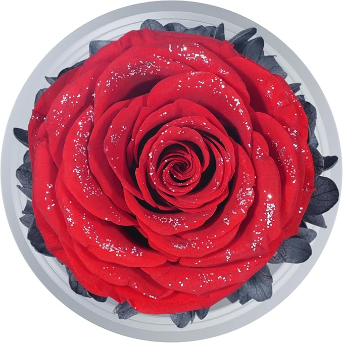 Sunia Preserved Flower Rose Gift for Women - Mother's Day Birthday Gifts for Mom Wife Grandma, Glass Angel Figurines Forever Real Roses Gifts for Her Valentine Day Thanksgiving (Red Starry Sky)