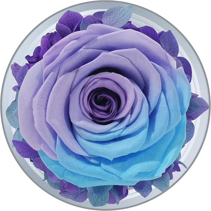 Sunia Preserved Flower Rose Gift for Women - Mother's Day Birthday Gifts for Mom Wife Grandma, Glass Angel Figurines Forever Real Roses Gifts for Her Valentine Day Thanksgiving (Blue Purple)