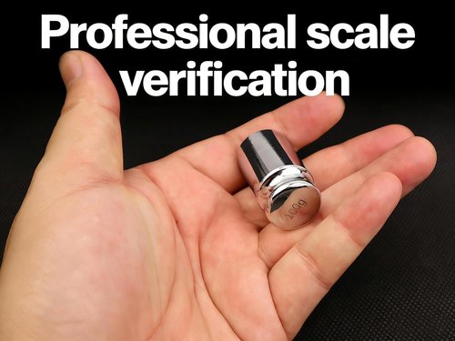 MAGIKON Precision Steel Calibration Weight - M2 Class 100g for Accurate Measurements