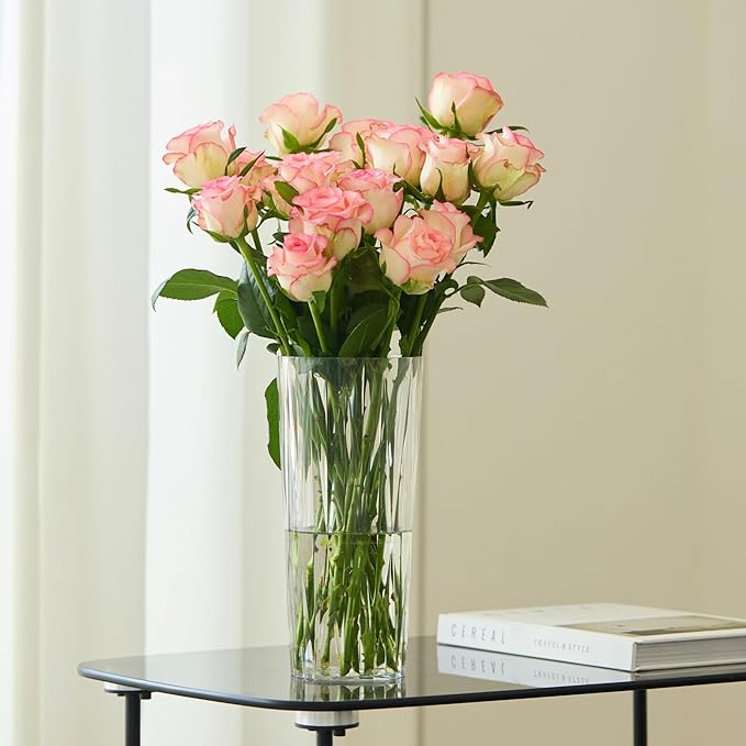 2 Clear Plastic Flower Vase, 10.2" Acrylic Rose Bouquet Vases for Home Decor Centerpieces Wedding Birthday Mothers (D4.6 2 + 2 Holder)