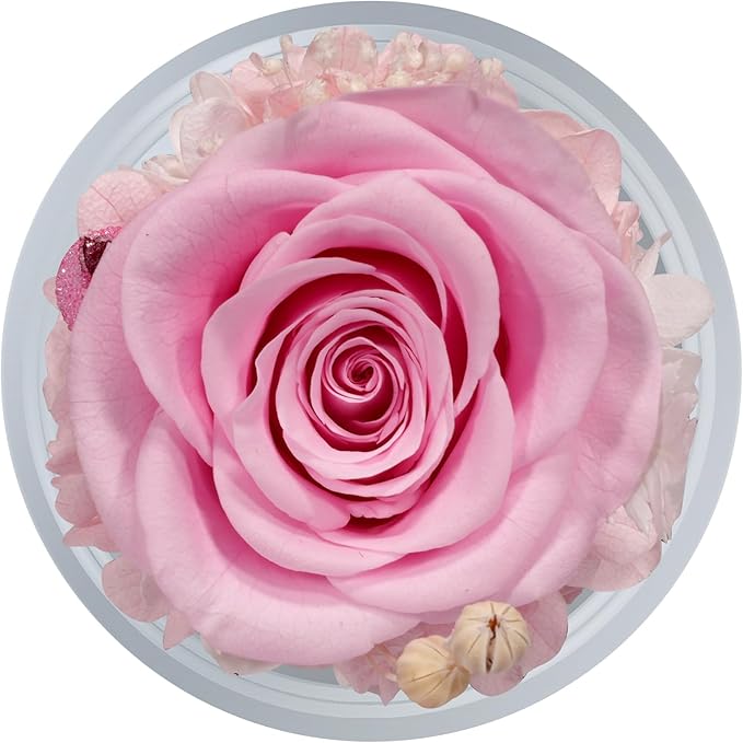 Sunia Preserved Flower Rose Gift for Women - Mother's Day Birthday Gifts for Mom Wife Grandma, Glass Angel Figurines Forever Real Roses Gifts for Her Valentine Day Thanksgiving (Pink)