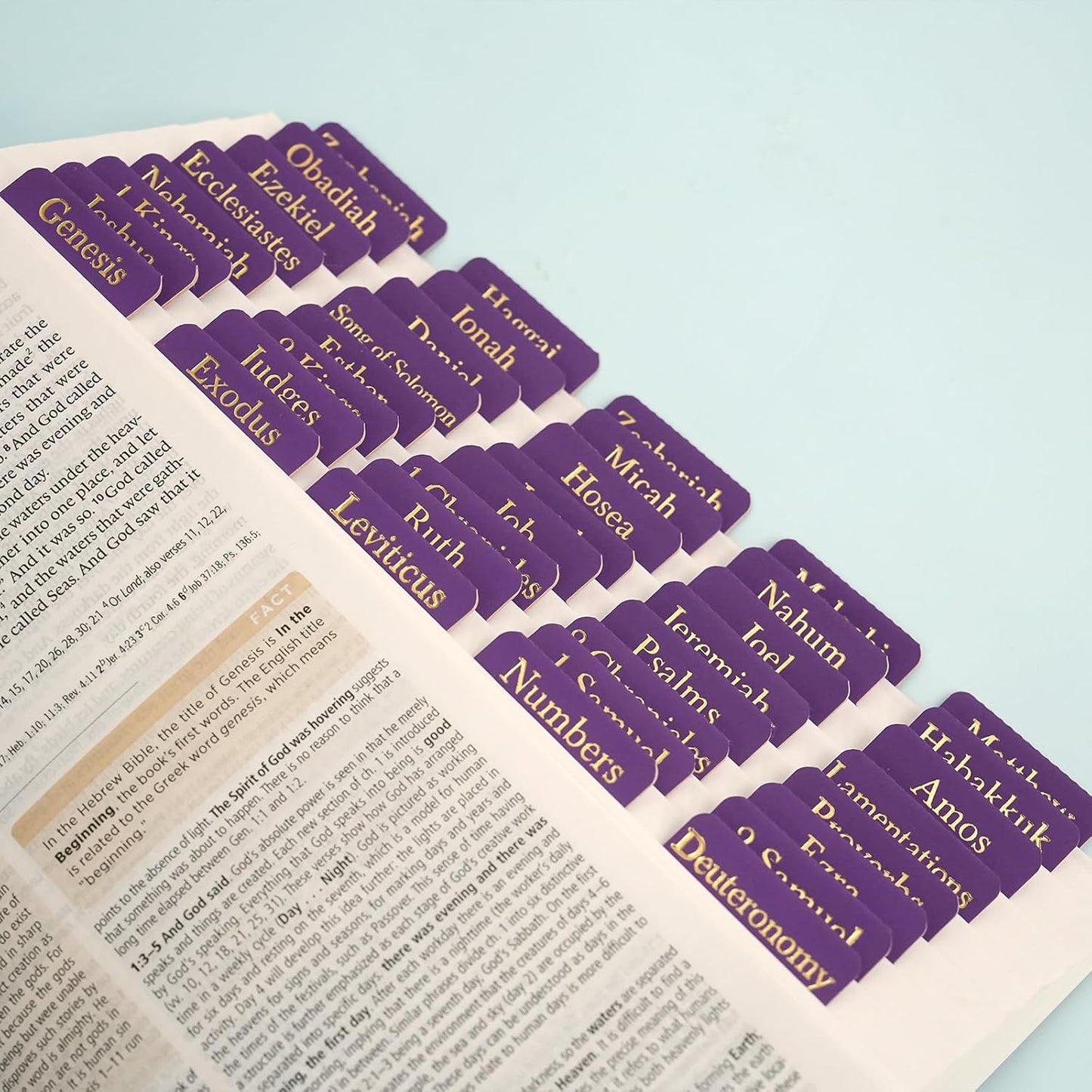XKDOUS Bible Tabs - Purple Leather with Gold Accents | 66 Tabs for Old & New Testament + 9 Blank Tabs