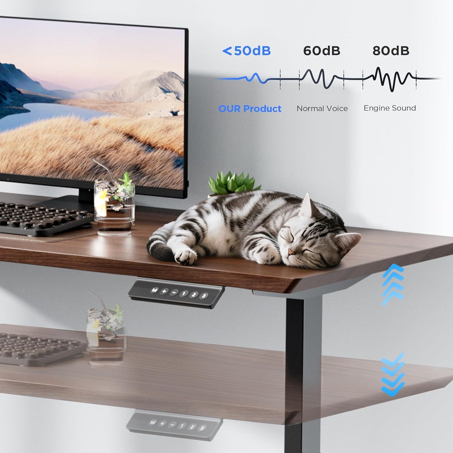 Skiennix Dual Motor Electric Standing Desk Frame - Heavy Duty 300 lbs Capacity | 3 Memory Height Presets, Adjustable for 43.3"–63" Desktops, Black