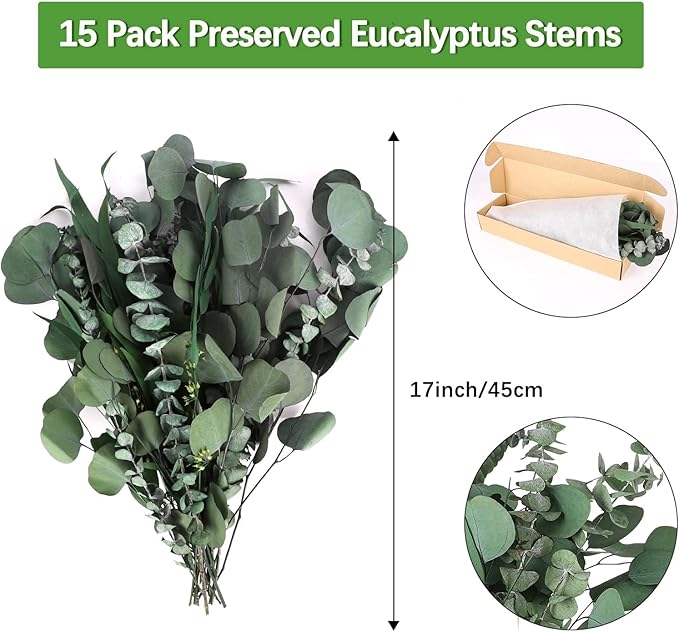 Eucalyptus Stems Mixed Dried Eucalyptus Bundle 15PCS Natural Eucalyptus Stems Greenery Plant for Wedding Bouquet Shower Hanging Home Spring Decoration