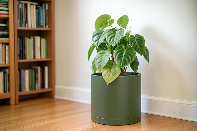 D'vine Dev 12 Inch Plastic Planter Pots for Plant Pot with Drainage Hole and Seamless Saucers, Olive, 74-X-I-3