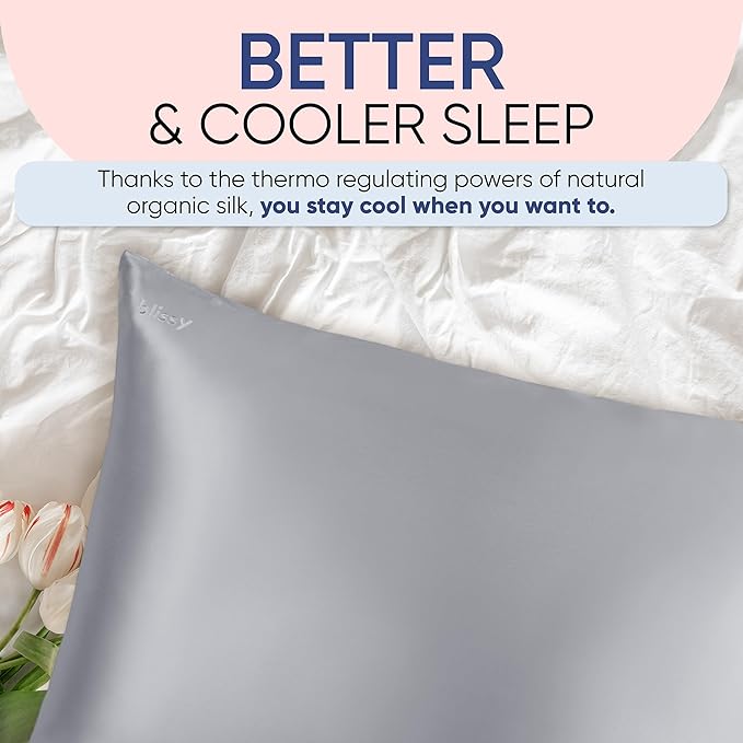 Blissy Silk Pillowcase - 100% Pure Mulberry Silk - 22 Momme 6A High-Grade Fibers - Silk Pillow Cover for Hair & Skin - Regular, Queen & King (Silver, Queen)