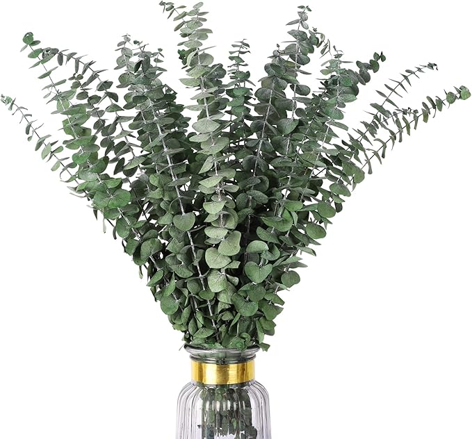 Real Dried Eucalyptus Stems, 20PCS Preserved Eucalyptus Plant 17inch Fresh Eucalyptus Greenery Plant for Vase Home Shower Wedding Festival Home Decoration