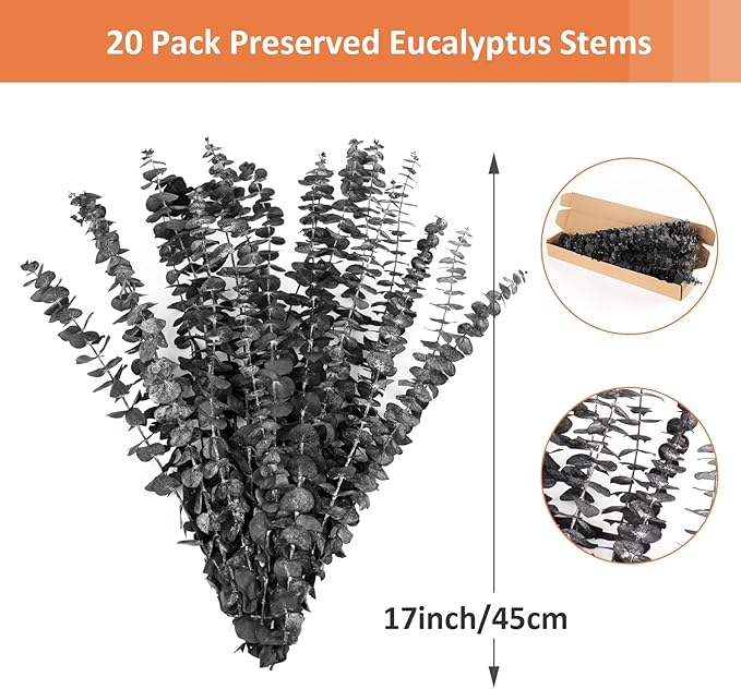 Black Eucalyptus Stems Decor,20PCS 17" Real Dried Preserved Eucalyptus Stems Plant for Home Vase Wedding Festival Floral Fall Halloween Arrangement Decorations