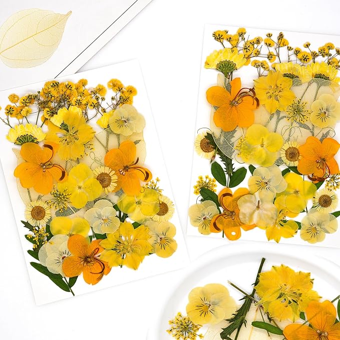 30Pcs Dried Pressed Natural Flowers for Resin Molds Real Pressed Flowers Dry Leaves Bulk Natural Herbs Kit for DIY Scrapbooking Art Crafts Jewelry Molds Candle Soap Making Nails Decor (Yellow)