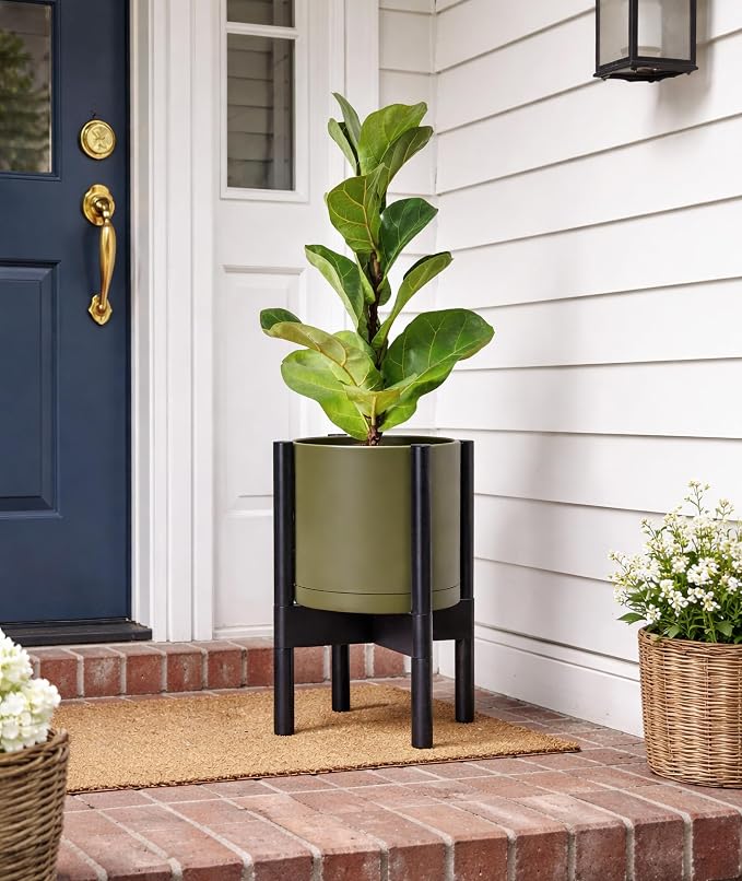 D'vine Dev Planter Pot with Stand - 8 Inch Plastic Cylinder Flower Pot with Wood Planter Holder for Indoor, Olive Pot + Ebony Stand, 55-C-K-3