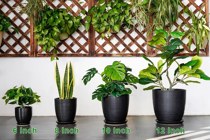 6 Inch Plant Pot - Ceramic Planters for Indoor Outdoor Plants, Modern Flower Pots with Drainage Hole and Saucer, Round Ceramic Planter, Office Room Decor, Gifts for Plant Lovers, Matte Black