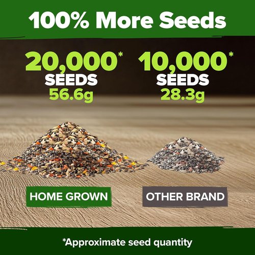 HOME GROWN Premium Monarch Butterfly Wildflower Seeds Mix - 20,000+ Non-GMO Perennial Seeds for Pollinator Gardens (2oz)