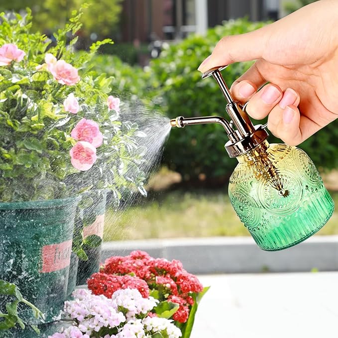 Glass Plant Mister Spray Bottle, 230ML Vintage Plant Spritzer, Succulent Watering Bottle Glass with Top Pump, Small Plants Sprayer Watering Can for Indoor Outdoor House
