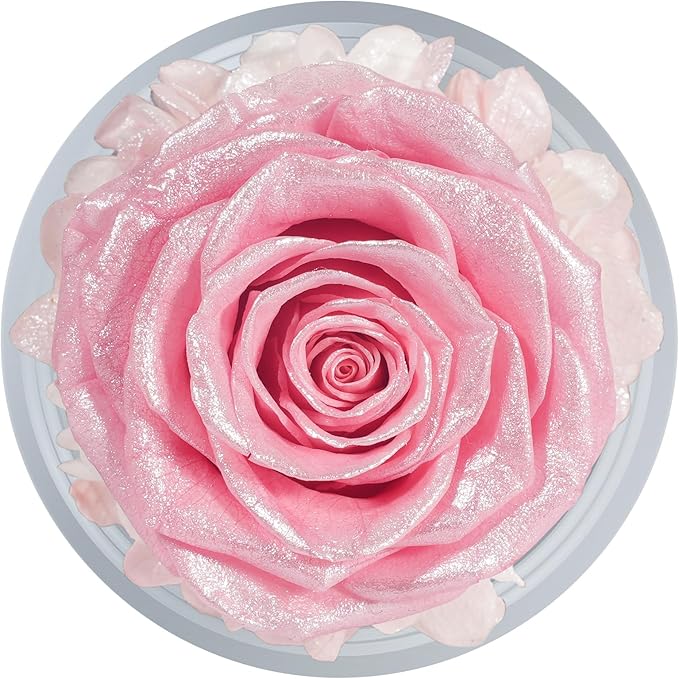 Sunia Preserved Flower Rose Gift for Women - Mother's Day Birthday Gifts for Mom Wife Grandma, Glass Angel Figurines Forever Real Roses Gifts for Her Valentine Day Thanksgiving (Sparkling Pink)