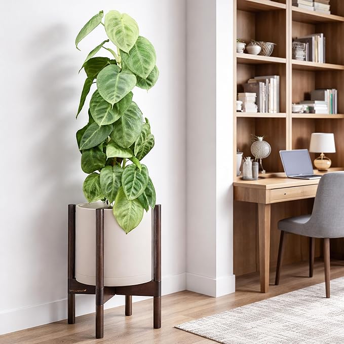 D'vine Dev Planter Pot with Stand - 10 Inch Plastic Cylinder Flower Pot with Wood Planter Holder for Indoor, Oatmeal Pot + Walnut Color Stand, 55-C-L-4