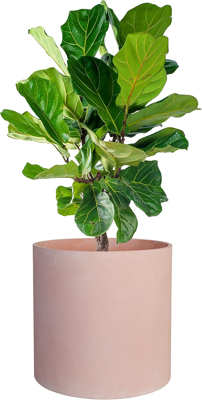 FaithLand 14 Inch Fiberstone Planter - Lightweight Modern Cylinder Plant Pot with Drainage Hole & Plug, Indoor Outdoor Use, Terracotta Color