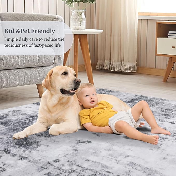 Washable 5x7 Area Rugs for Living Room Low Pile Small Carpet Soft Bedroom Rug Modern Abstract Carpet Non Shedding Thin Colorful Carpets Contemporary Floor Mats for Kitchen Nursery, Grey