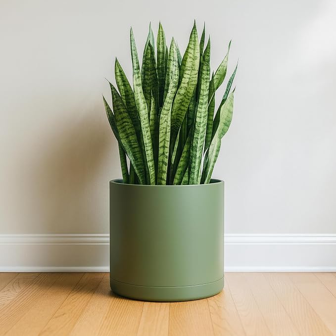 D'vine Dev 14 Inch Plastic Planter Pots for Plant Pot with Drainage Hole and Seamless Saucers, Olive, 74-X-I-4