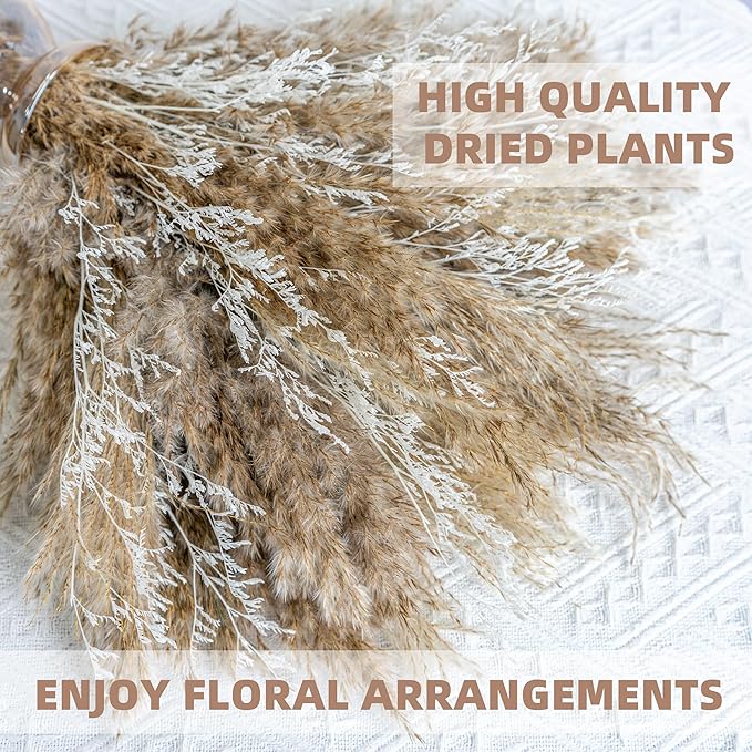 WILD AUTUMN Fluffy Boho Decor Dried Grass - Dried Pampas Grass Short pompas Grass Vase Filler Dried Flowers Wedding Home Table Rustic Farmhouse Decor