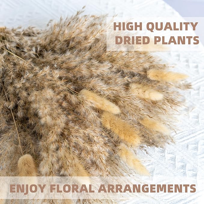 WILD AUTUMN Fluffy Boho Decor Dried Grass - Dried Pampas Grass Short pompas Grass Vase Filler Dried Flowers Wedding Home Table Rustic Farmhouse Decor