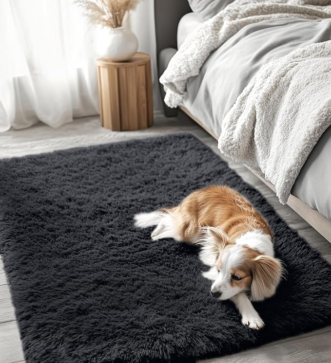 OLANLY 4x5 Machine Washable Accent Rug, Soft Fluffy Shaggy Area Rug for Bedroom, Living Room, Indoor Floor Carpet for Kids, Nursery, Home Decor, Black