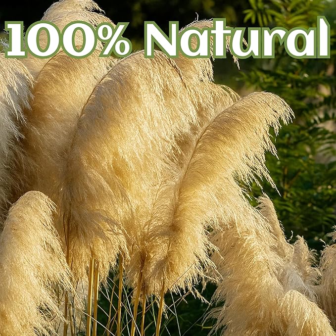 10 Stems 40" Tall Natural Dried Pampas Grass Decor, Large Tall Beige Pampas for Floor Vase, Arch, Farmhouse, Wedding, Party, Boho Home Decor Christmas