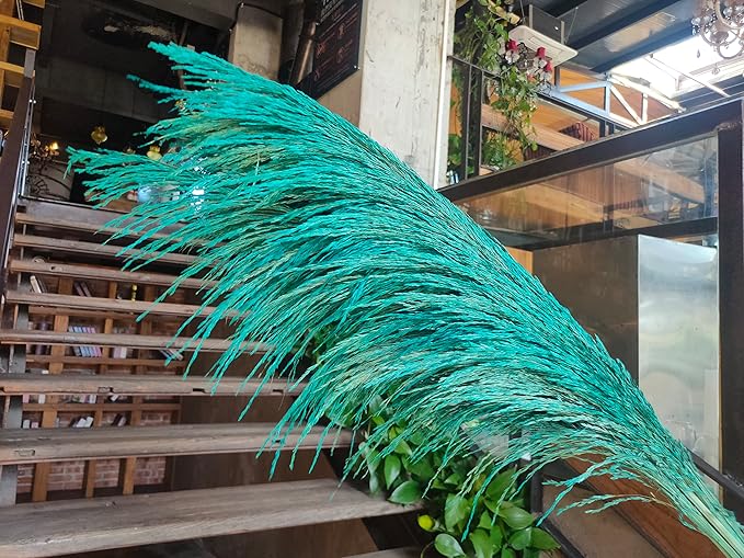 Pampas Grass Decor Tall,Long Pampas, Large Pompas Floral, Elegant Feather Flowers for Wedding Decorations, Living Room Decor (Natural Teal, 8pcs 31.5"(80cm))