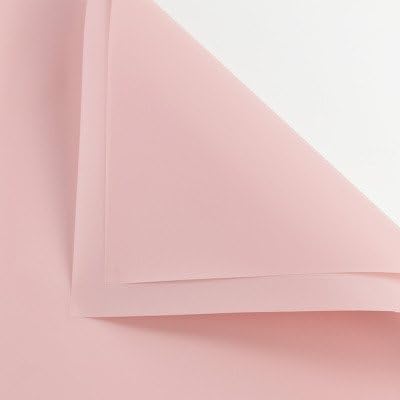 BBJ WRAPS Korean Style Flower Wrapping Paper Floral Bouquet Gift Packaging Supplies Multi Colors 20 Counts (Pink)