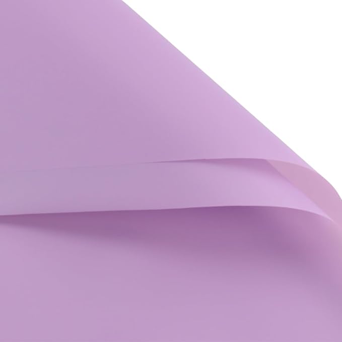 BBJ WRAPS Translucent Flower Wrapping Paper for Florist Waterproof Durable Bouquet Wrapping Paper for Floral Arrangements on Valentine's Day, Mother's Day, 22.8x22.8 Inch - 20 Sheets (Light purple)