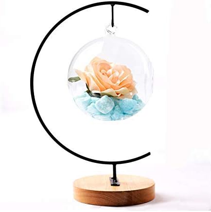 YY YEARCHY Awesomes Terrarium Ornament Display Stand Metal Stand Air Plant Stand Flower Pot Stand Holder Iron Pothook Stand for Hanging Glass Terrarium Globe Ball (1, Black)