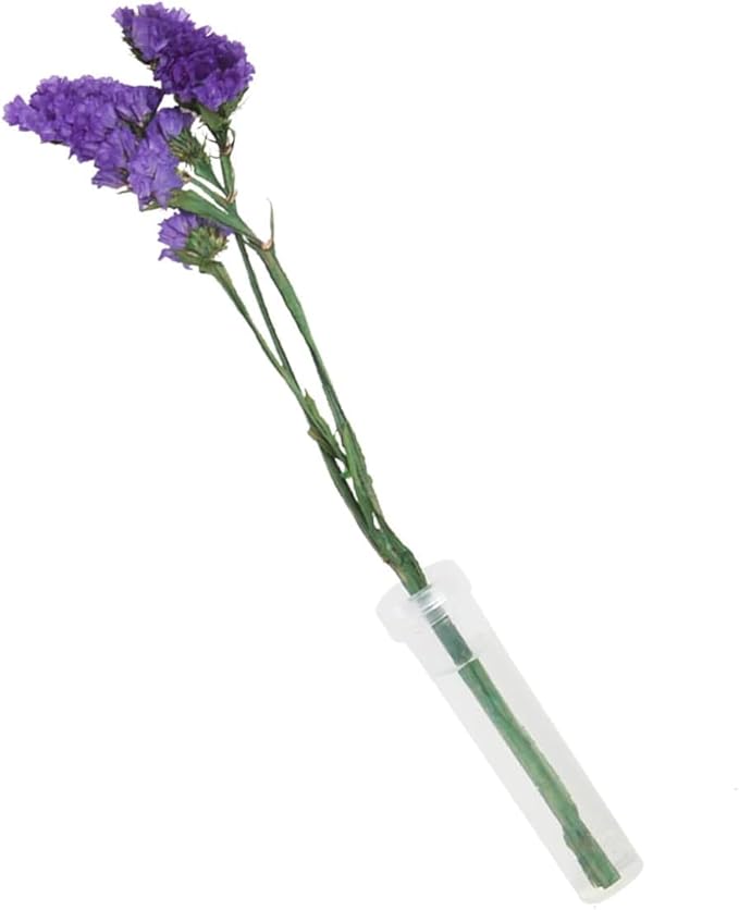 30 Pieces Floral Water Tubes 2.8 Inch Clear Plastic Flower Vials with Caps for Flower Arrangement Decoration