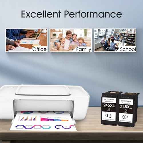 PG-245XL Black Ink Cartridge Replacement for Canon 245XL PG-245 Black Combo Pack for PIXMA MG2420 MG2520 MG2522 MG2525 MG2920 MG2922 MG2924 MG3020 MG3029 MG3022 TR4520 TR4522 TS3120 (2 x Black)