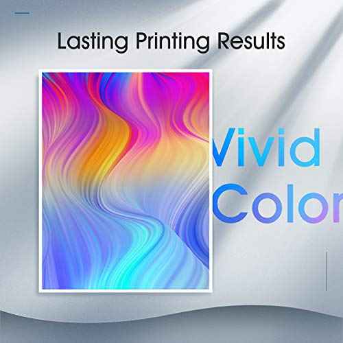 PG-245XL Black Ink Cartridge Replacement for Canon 245XL PG-245 Black Combo Pack for PIXMA MG2420 MG2520 MG2522 MG2525 MG2920 MG2922 MG2924 MG3020 MG3029 MG3022 TR4520 TR4522 TS3120 (2 x Black)
