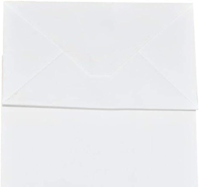 bagmad 100 Pack Sturdy Small White Kraft Paper Bags with Handles Bulk, Gift Bags 5.25x3.25x8 Inch, Craft Grocery Shopping Retail Party Favors Wedding Business Sacks (White, 100pcs)