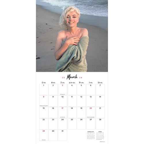 TF Publishing 2026 Marilyn Monroe Wall Calendar - Large Grids for Appointments and Scheduling - Vertical Monthly Wall Calendar 2026 with Premium Matte Paper for Home and Office Organization - 12x12in