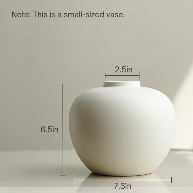 Full Moon Designed Vase, Shaping Flower Art and Displaying Hydroponic Plants, 6.5" × 7.2" (Matte Crème)
