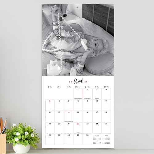 TF Publishing 2026 Marilyn Monroe Wall Calendar - Large Grids for Appointments and Scheduling - Vertical Monthly Wall Calendar 2026 with Premium Matte Paper for Home and Office Organization - 12x12in