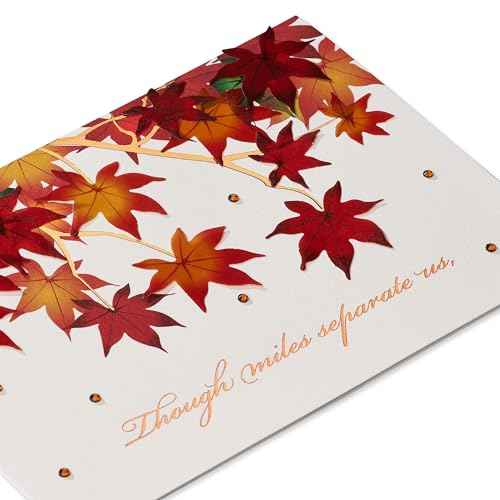 Papyrus Thanksgiving Card (In Our Hearts)